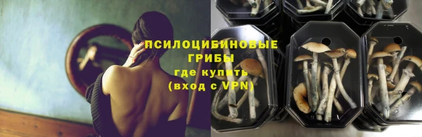 ECSTASY Покров