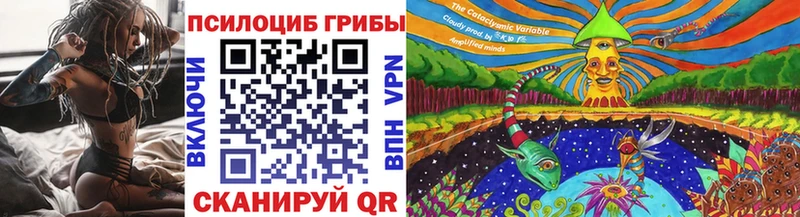 закладка  Богородск  Псилоцибиновые грибы мицелий 