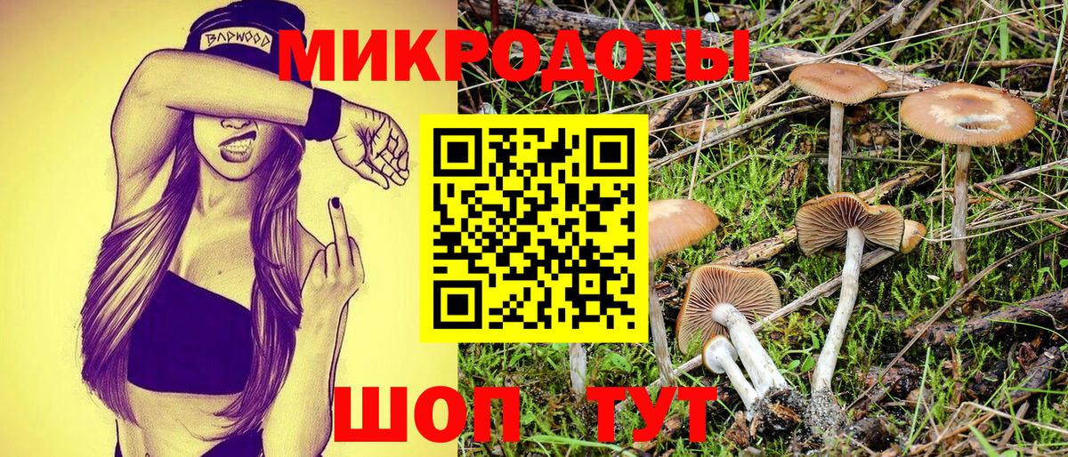 цена   Богородск  Галлюциногенные грибы Psilocybine cubensis 