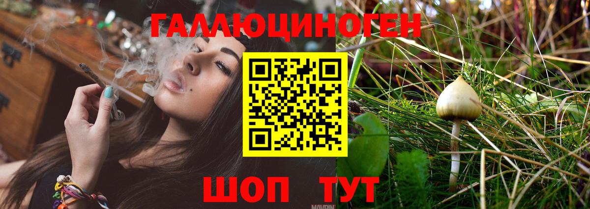 Галлюциногенные грибы Psilocybine cubensis  купить  сайты  Галлюциногенные грибы Psilocybe  Богородск  Вход с VPN 