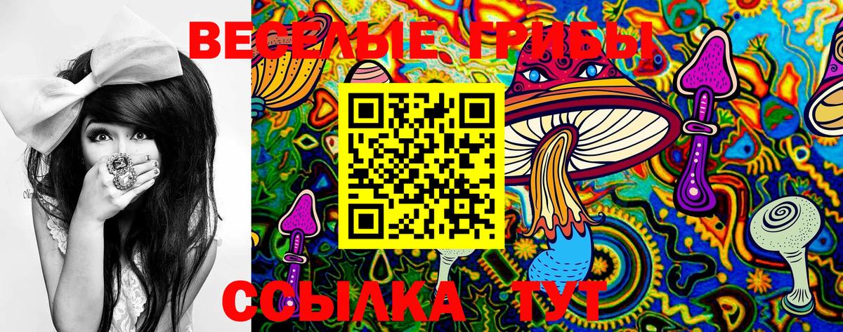 Галлюциногенные грибы мухоморы Богородск