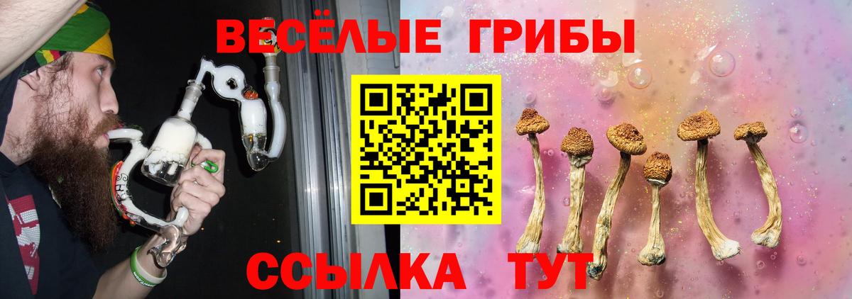 Псилоцибиновые грибы MAGIC MUSHROOMS Богородск